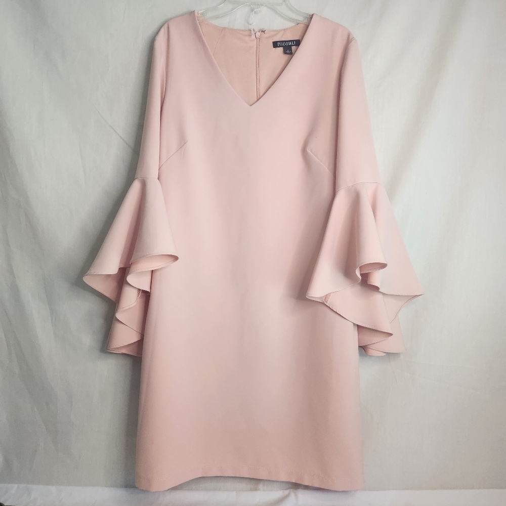 Roz & Ali Blush Pink Dress With Ruffle Sleeves Size 2. Cottage, Romantic